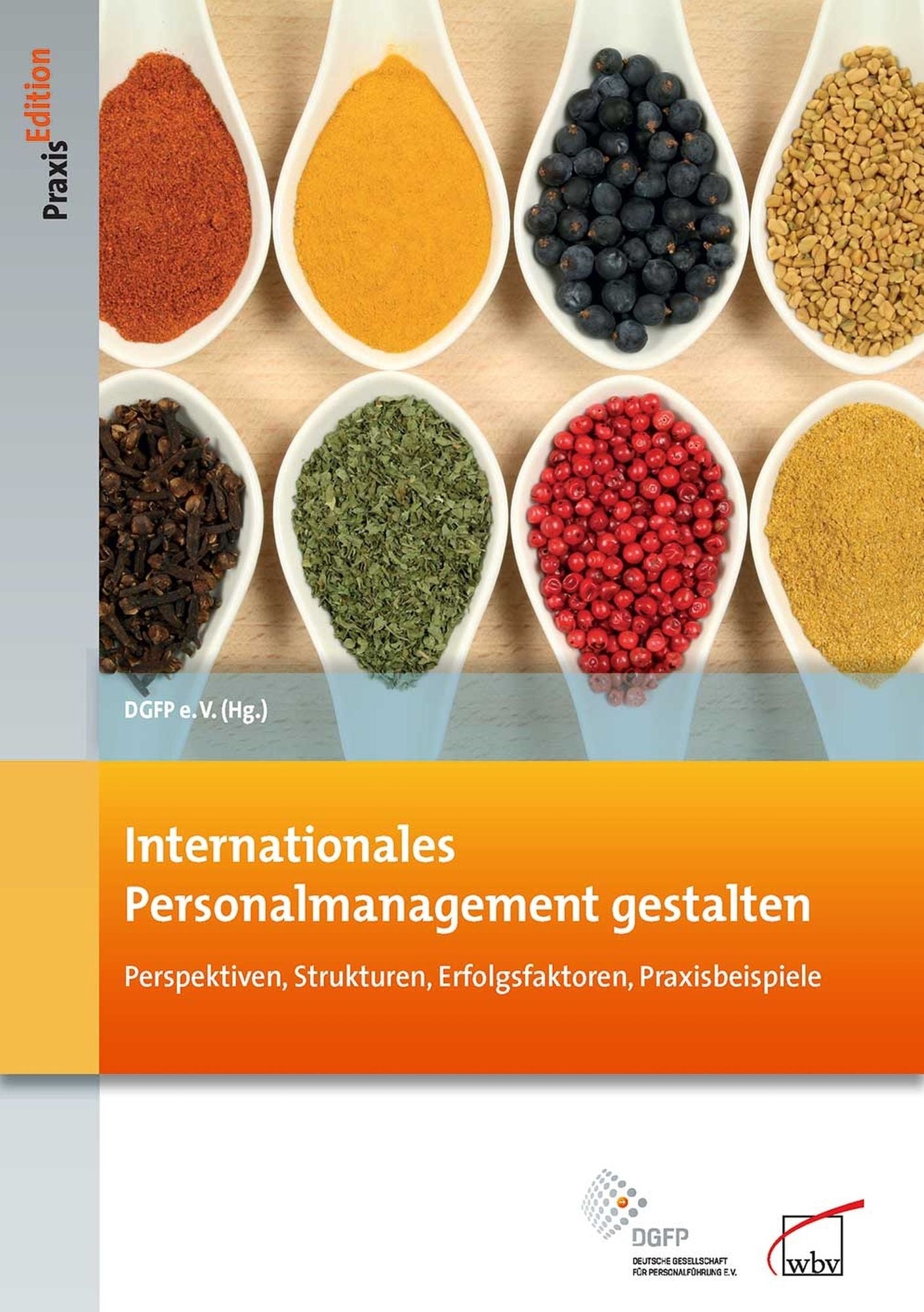 Internationales Personalmanagement gestalten: Perspektiven, Strukturen, Erfolgsfaktoren, Praxisbeispiele
