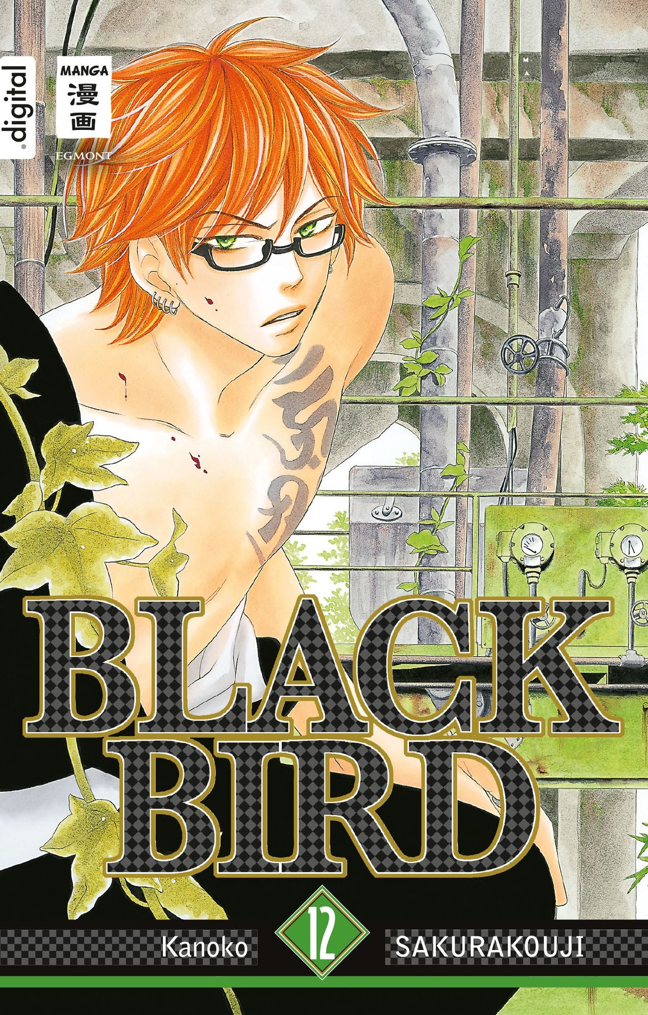 Black Bird 12