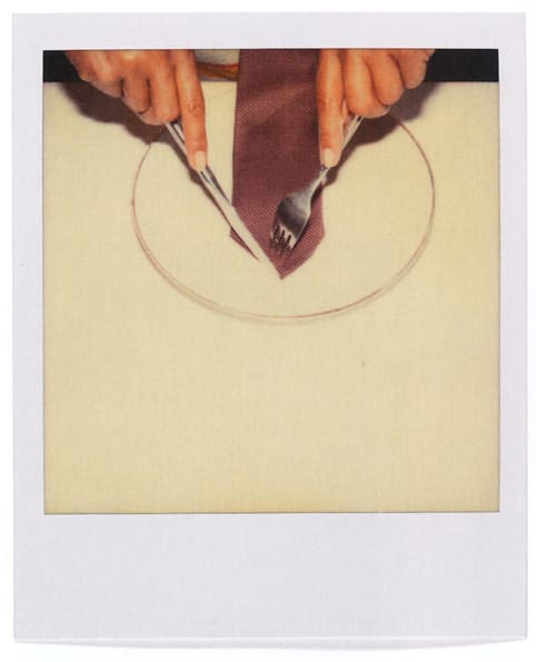 From Polaroid to Impossible: Masterpieces of Instant Photography, The WestLicht Collection