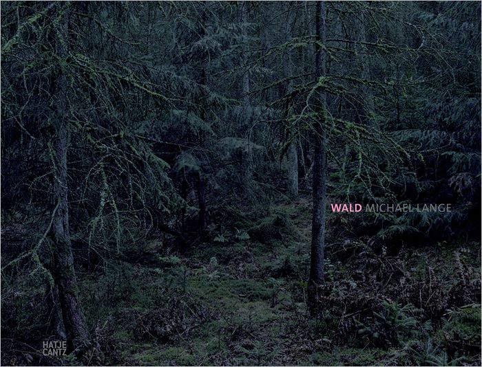 Michael Lange: Wald