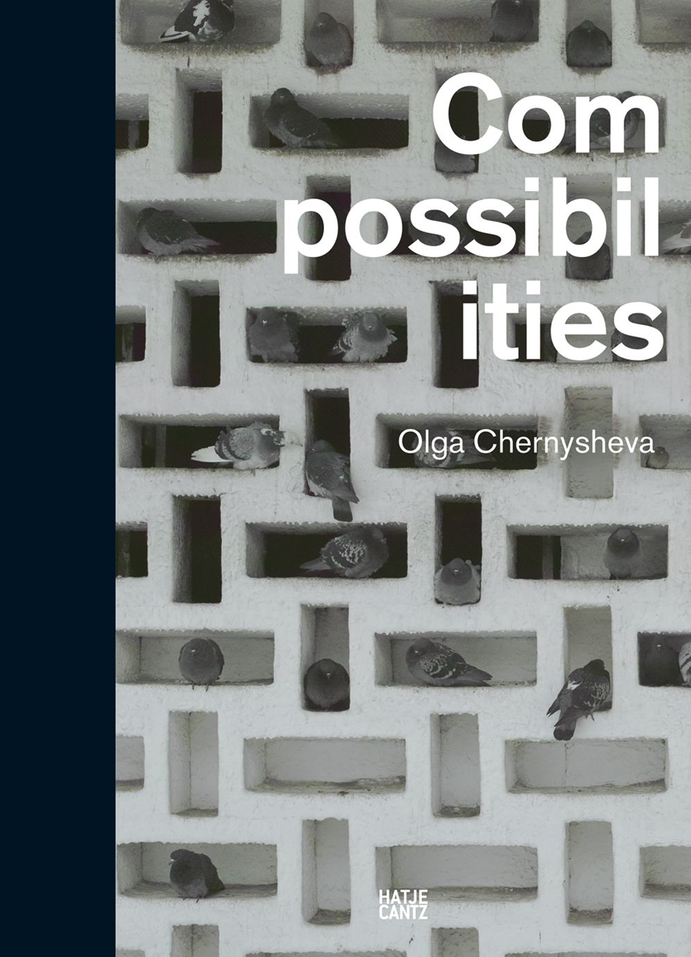 Olga Chernysheva: Compossibilities