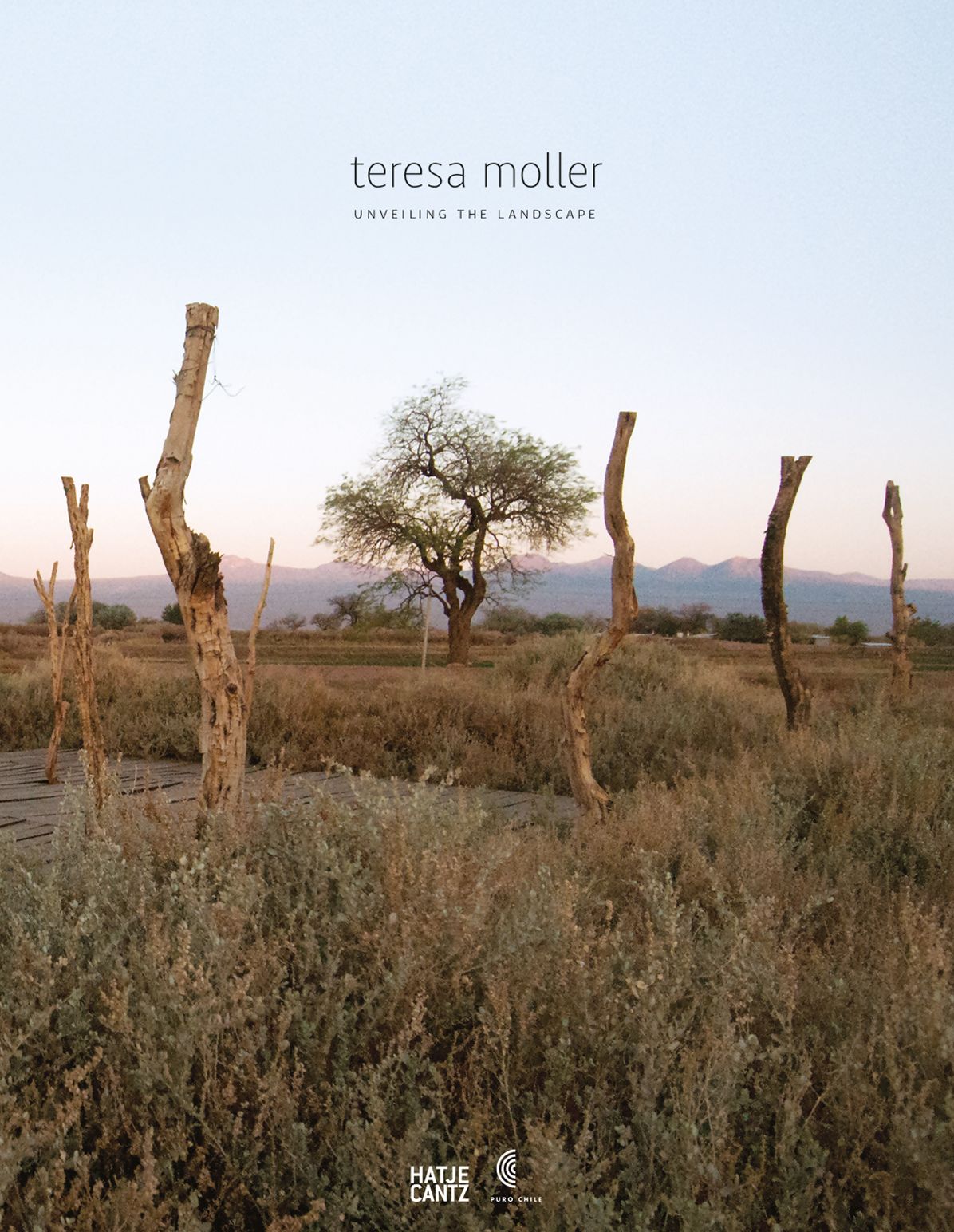 Teresa Moller and Associates: Unveiling the Landscape