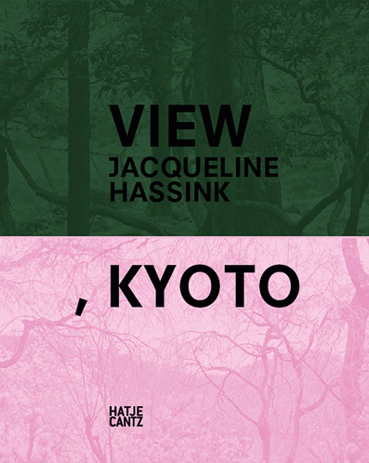 Jacqueline Hassink: View, Kyoto: On Japanese Gardens and Temples