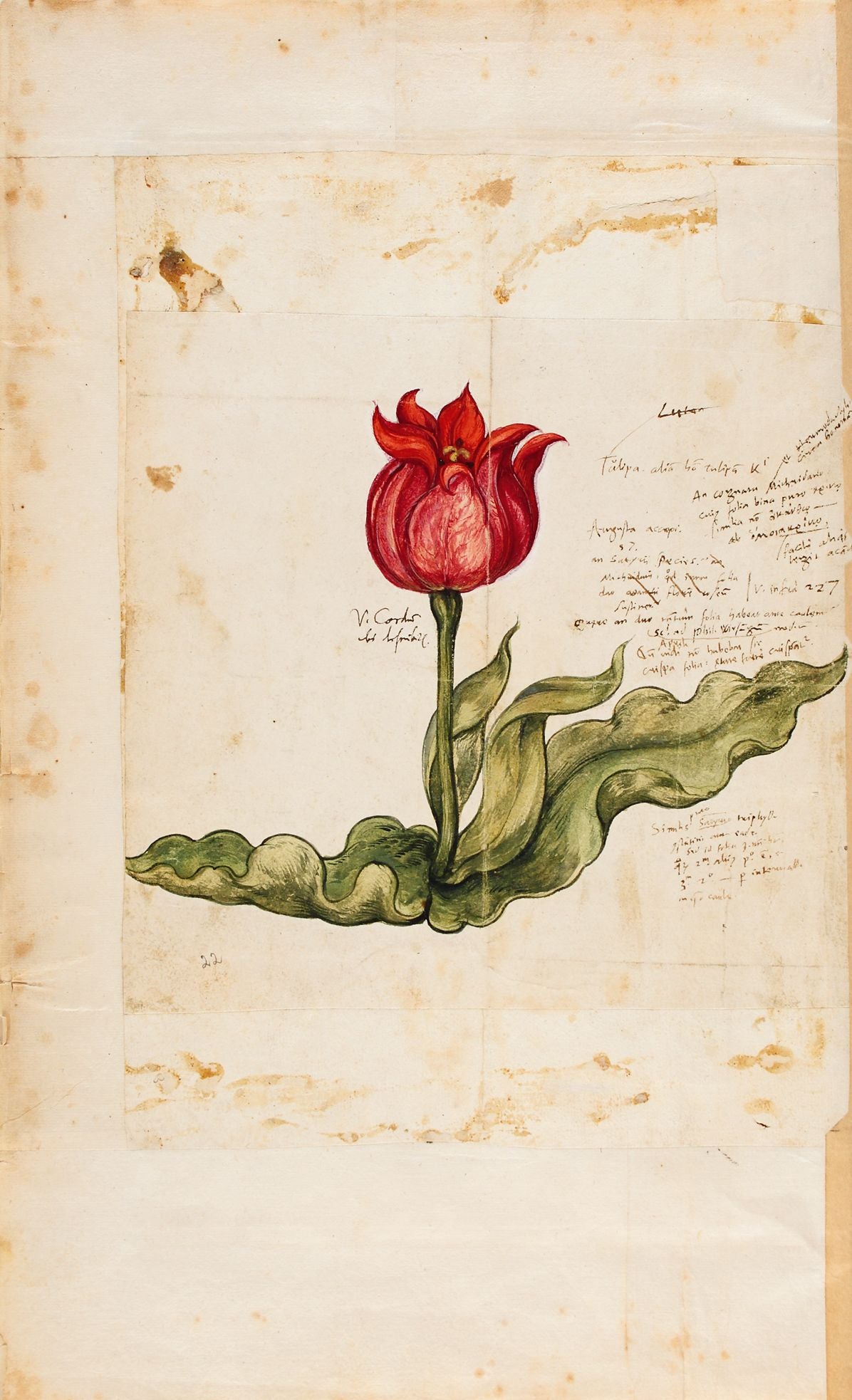 The Sultan's World: The Ottoman Orient in Renaissance Art