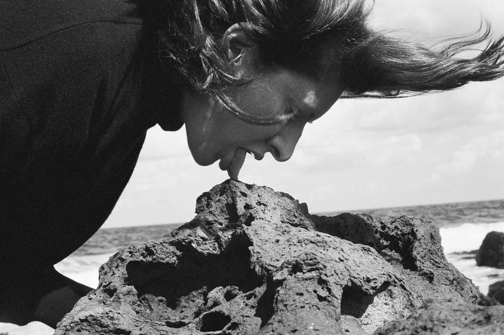 Marina Abramovic: The Cleaner