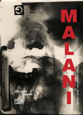 Nalini Malani: Malani