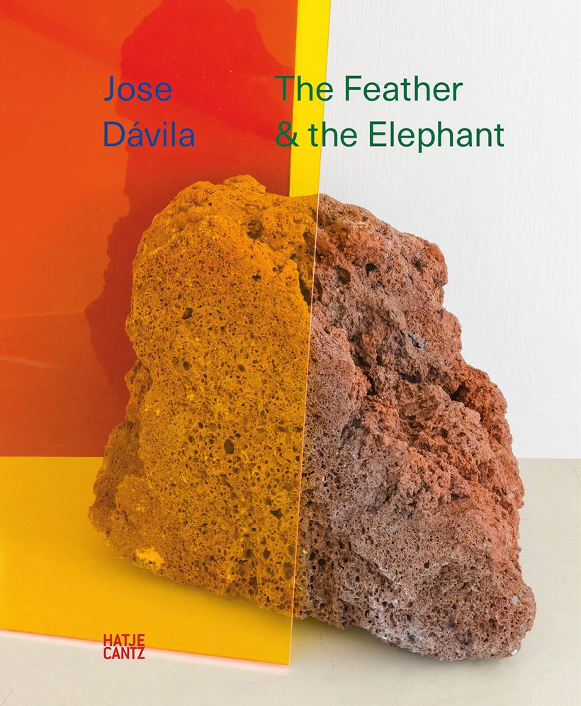 Jose Dï¿½vila: The Feather and the Elephant