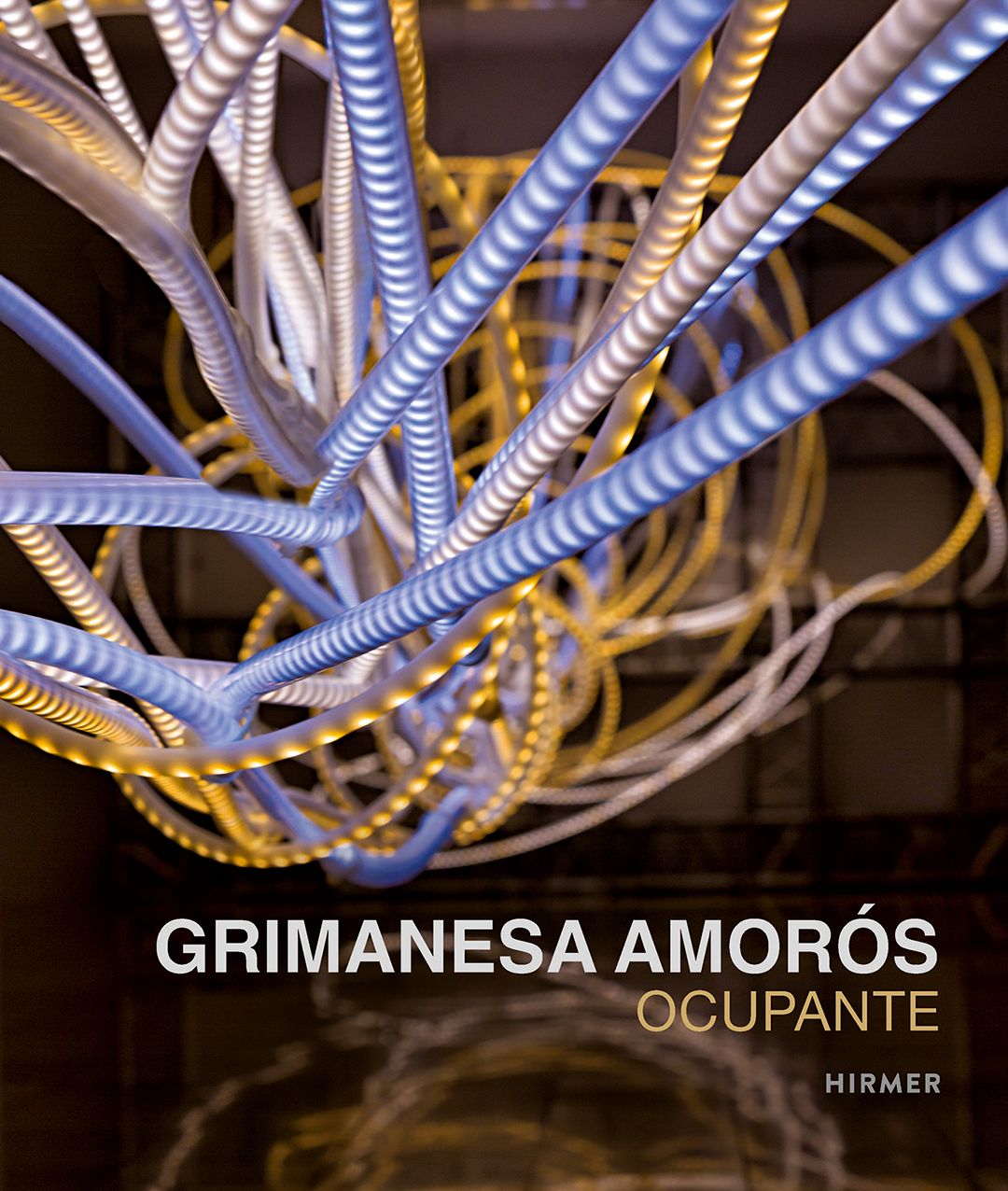 Grimanesa Amoros: Ocupante
