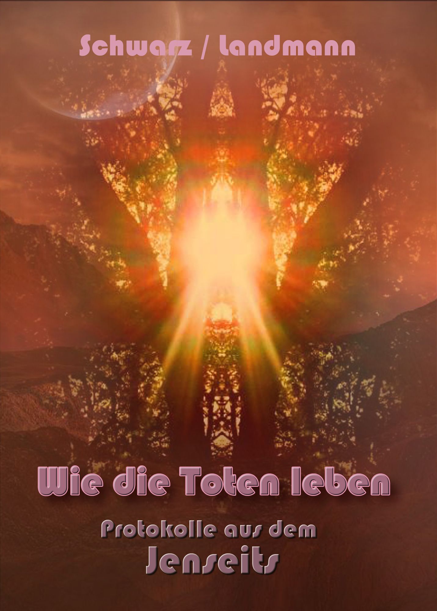 Wie die Toten leben: Protokolle aus dem Jenseits