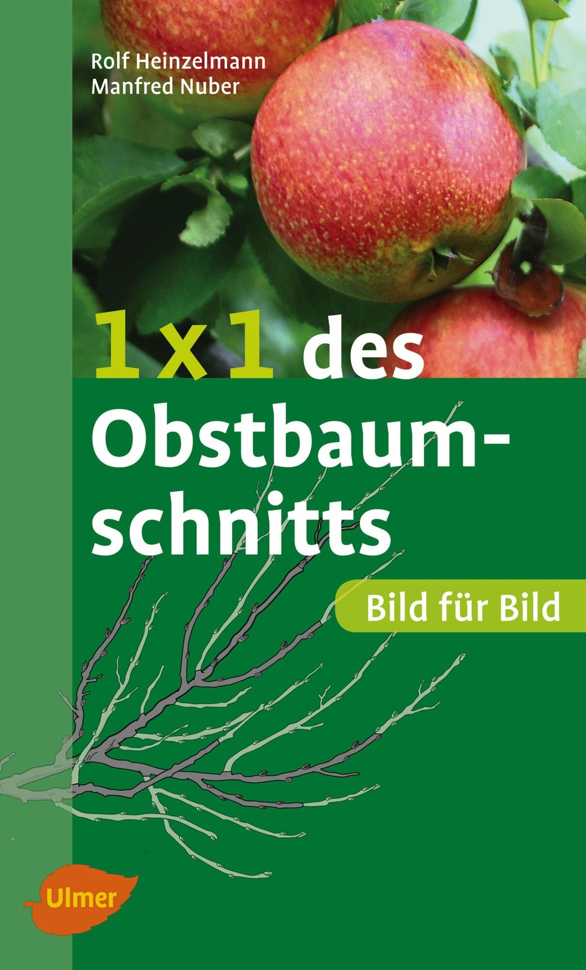 1 x 1 des Obstbaumschnitts: Bild für Bild
