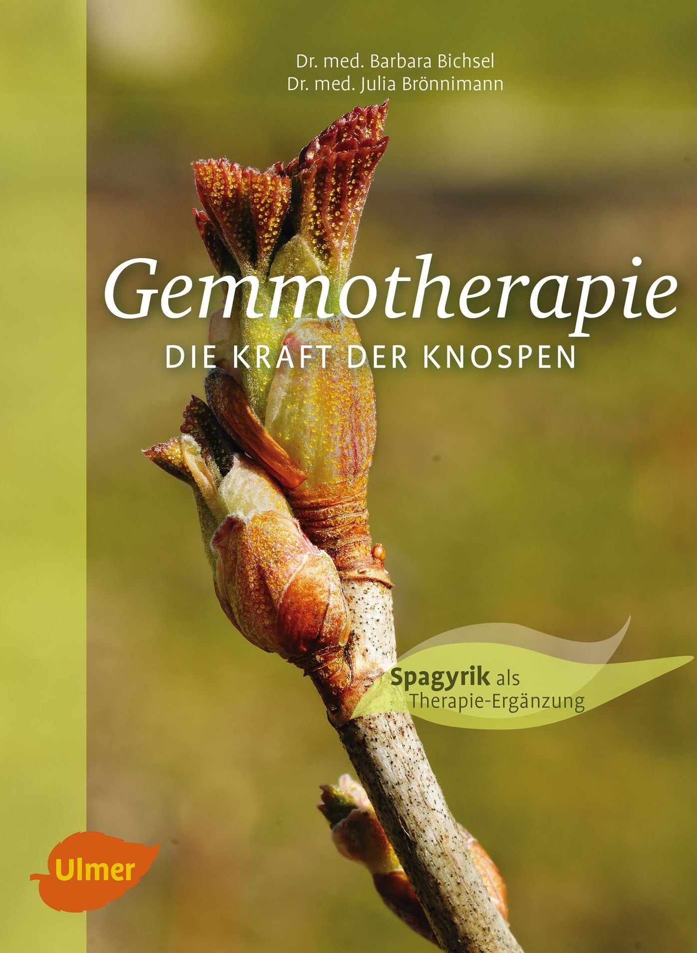 Gemmotherapie. Die Kraft der Knospen: Extra: Spagyrik als Therapie-Ergänzung