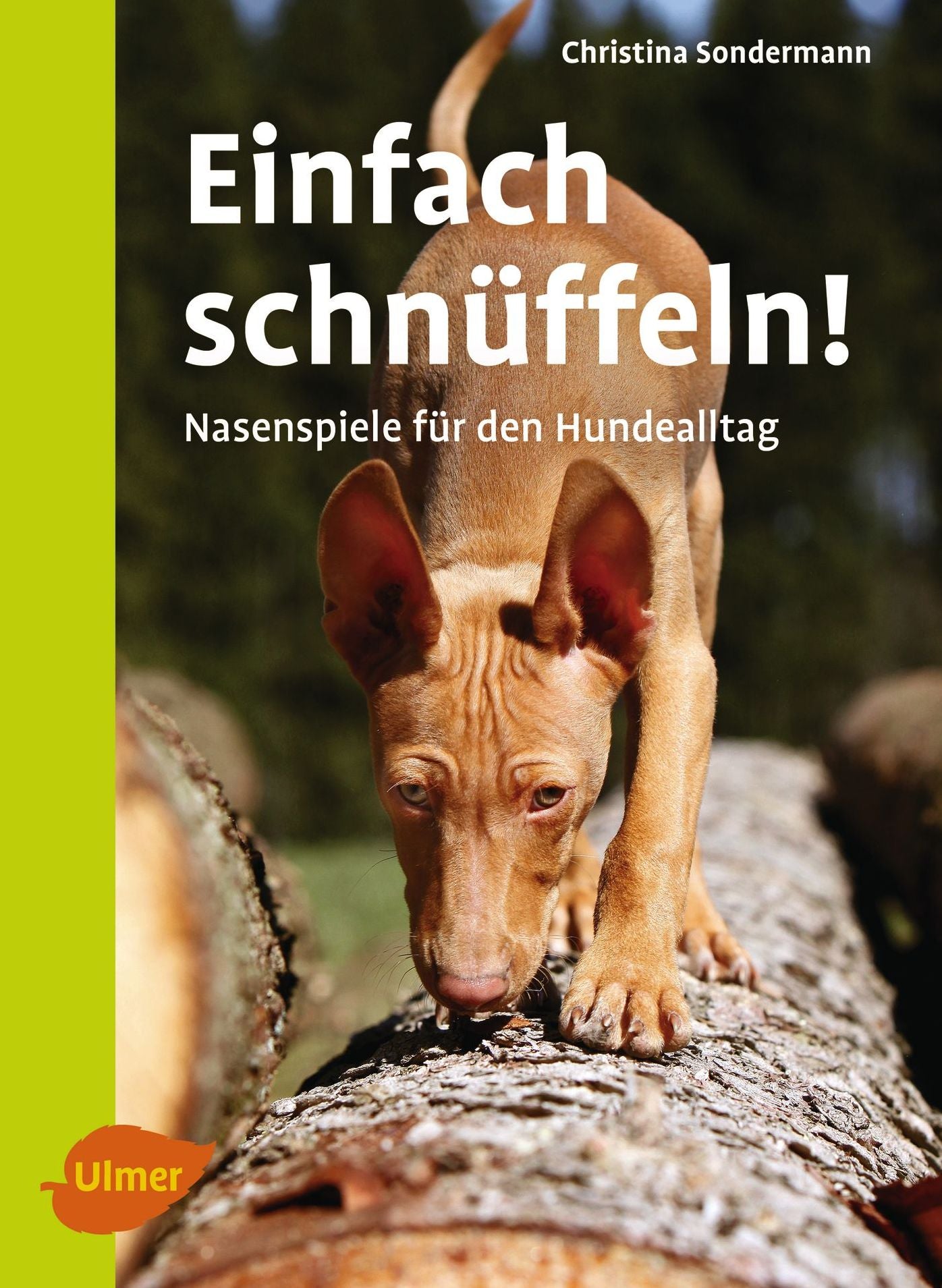 Einfach schnüffeln!: Nasenspiele für den Hundealltag