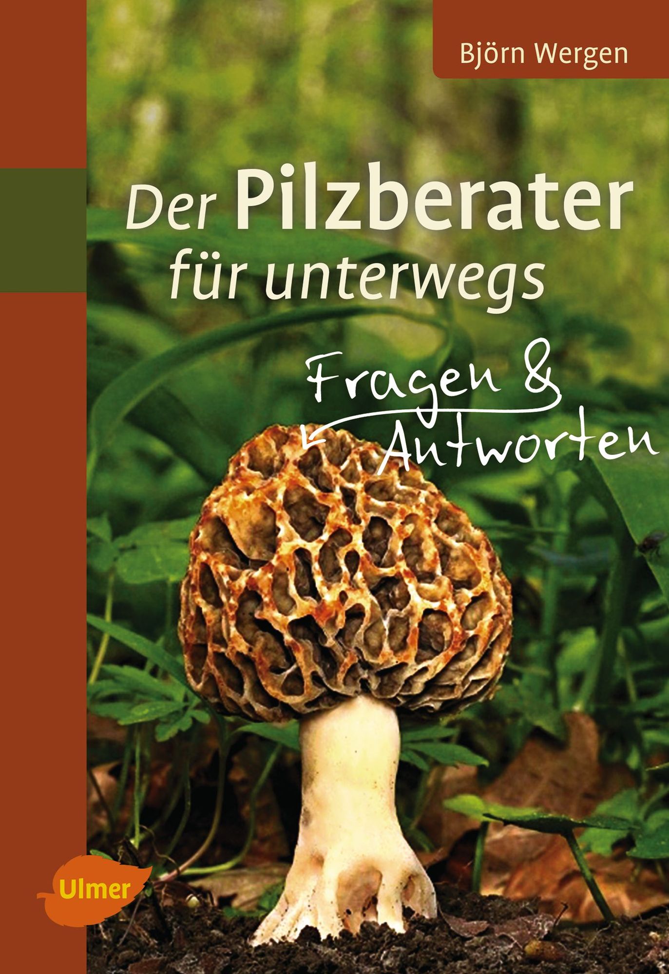 Der Pilzberater für unterwegs: Fragen und Antworten