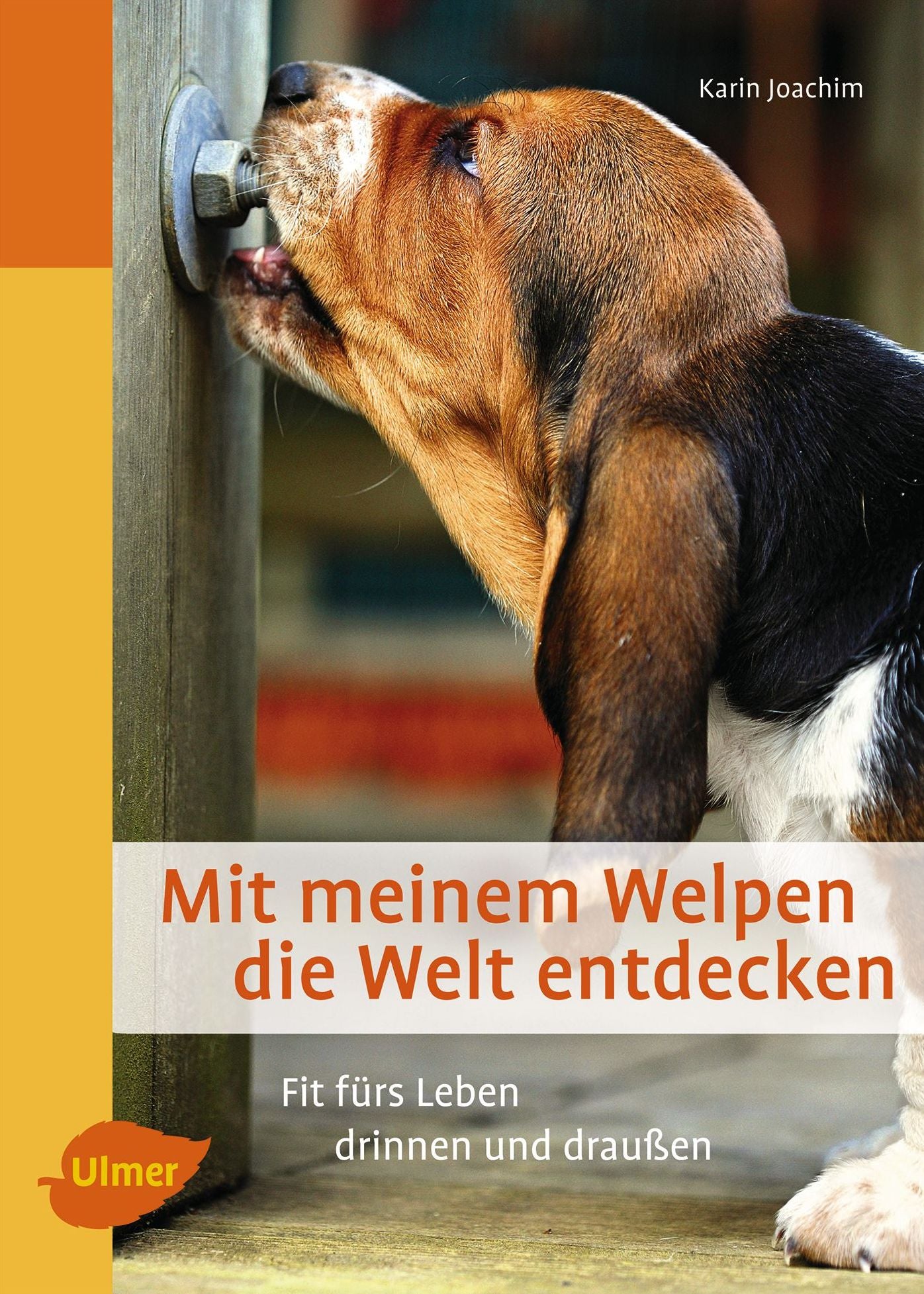 Mit meinem Welpen die Welt entdecken: Fit fürs Leben drinnen und draußen