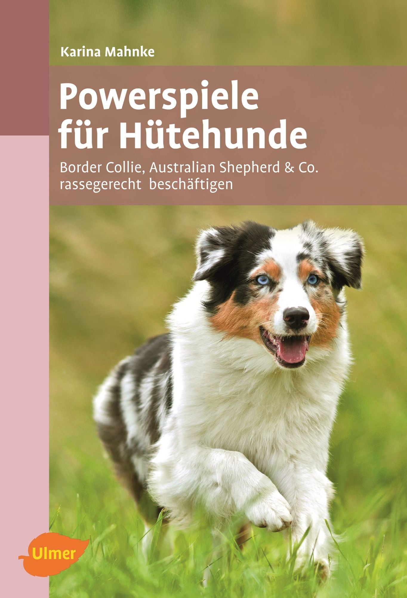 Powerspiele für Hütehunde: Border Collie, Australian Shepherd & Co. rassegerecht beschäftigen