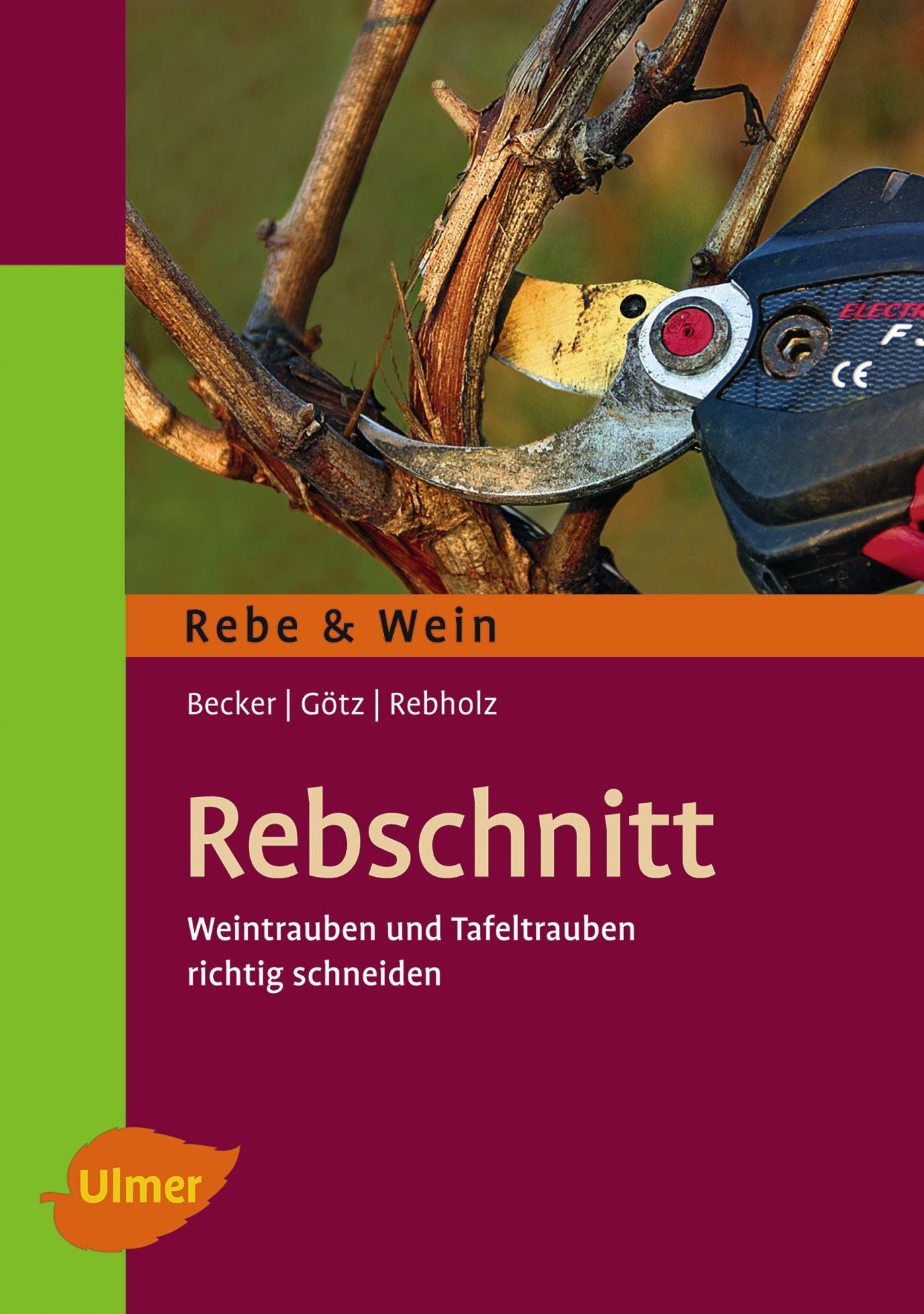 Rebschnitt: Weintrauben und Tafeltrauben richtig schneiden