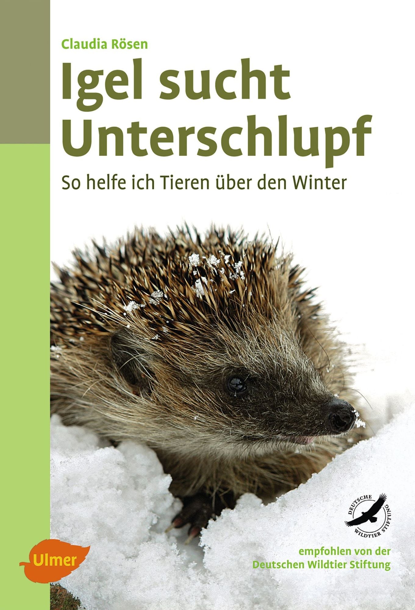 Igel sucht Unterschlupf: So helfe ich Tieren über den Winter