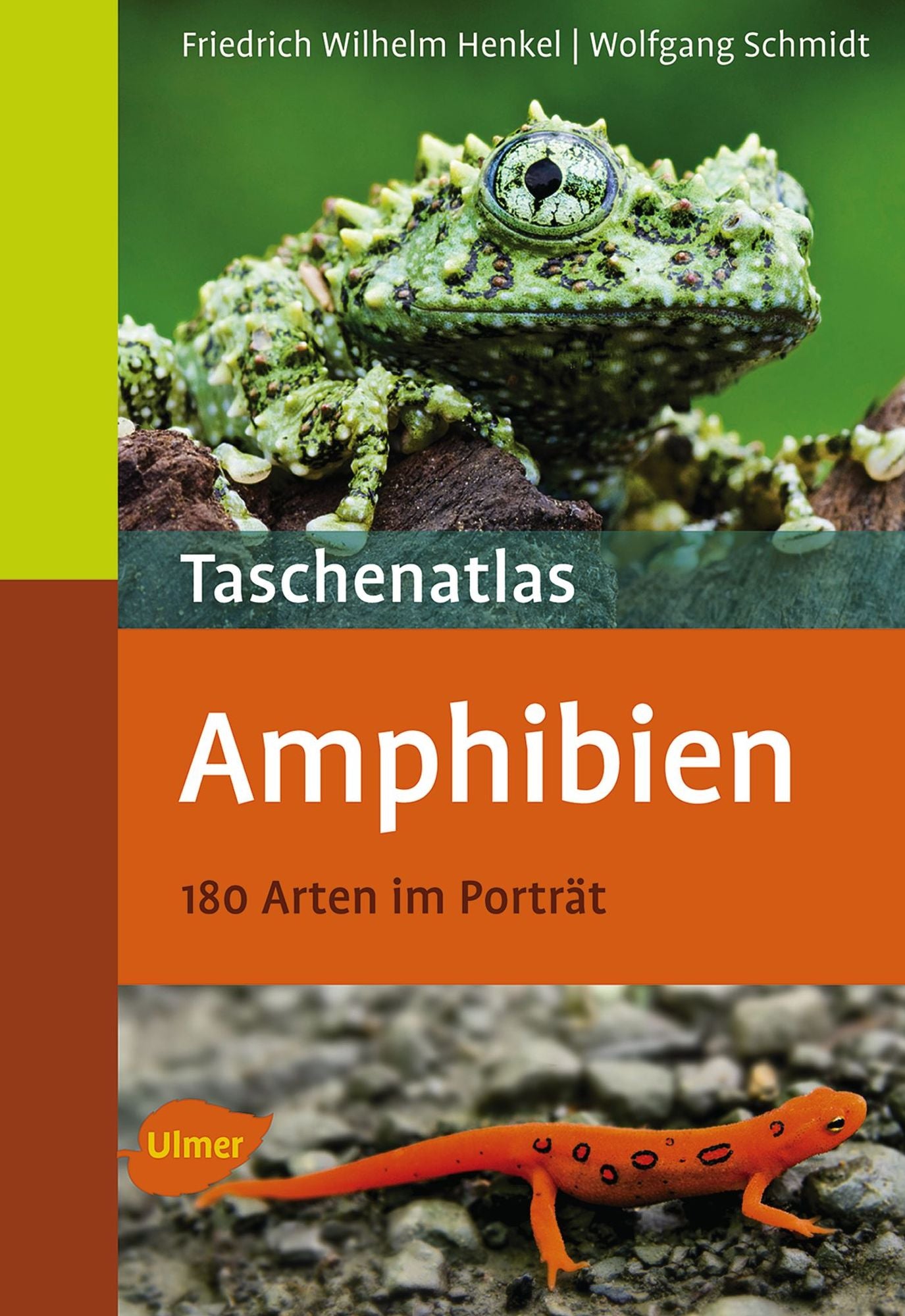 Taschenatlas Amphibien: 180 Arten im Porträt