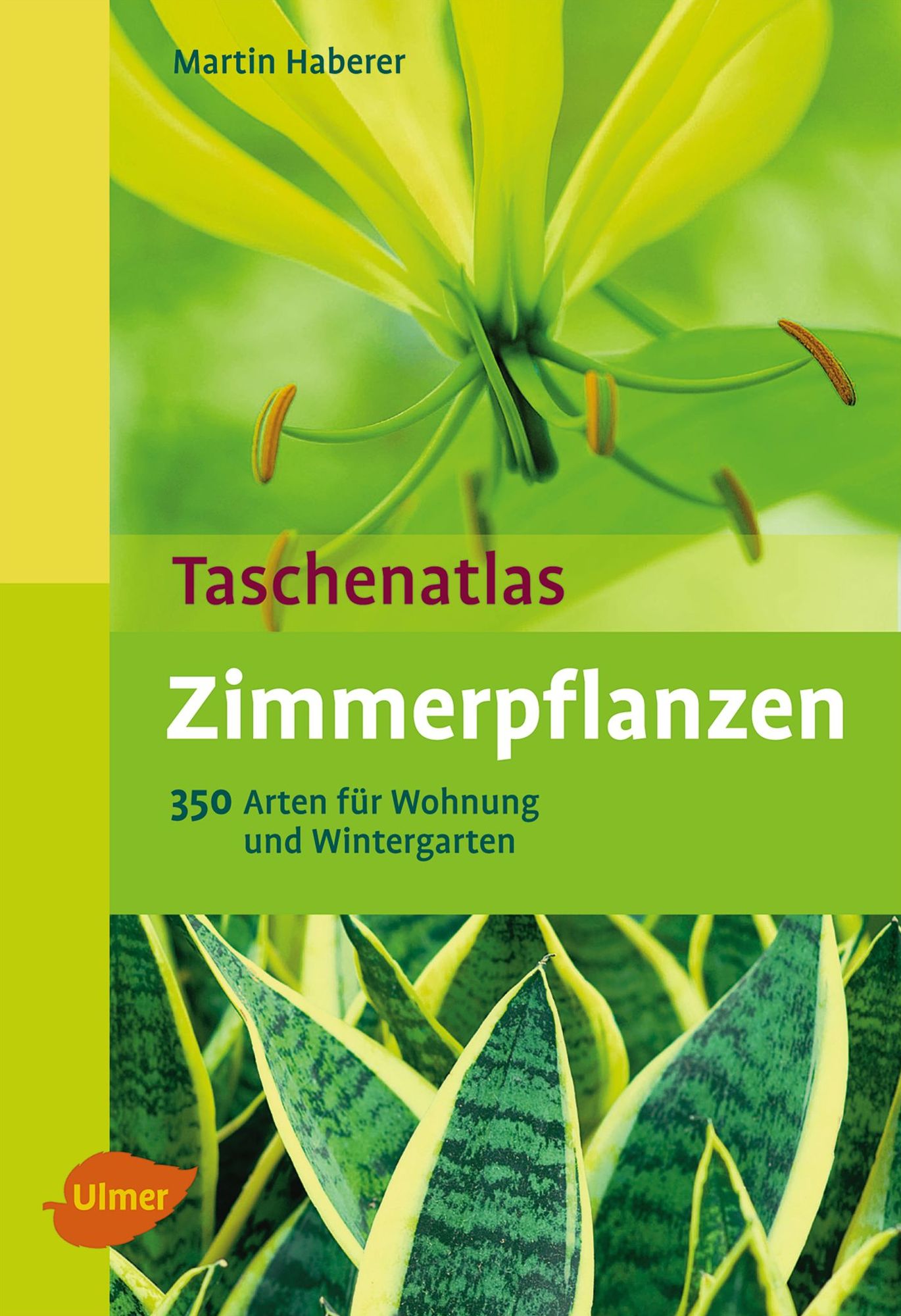 Taschenatlas Zimmerpflanzen: 350 Arten für Wohnung und Wintergarten