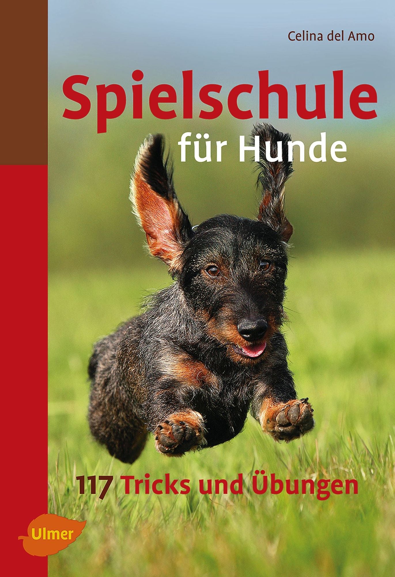 Spielschule für Hunde: 117 Tricks und Übungen