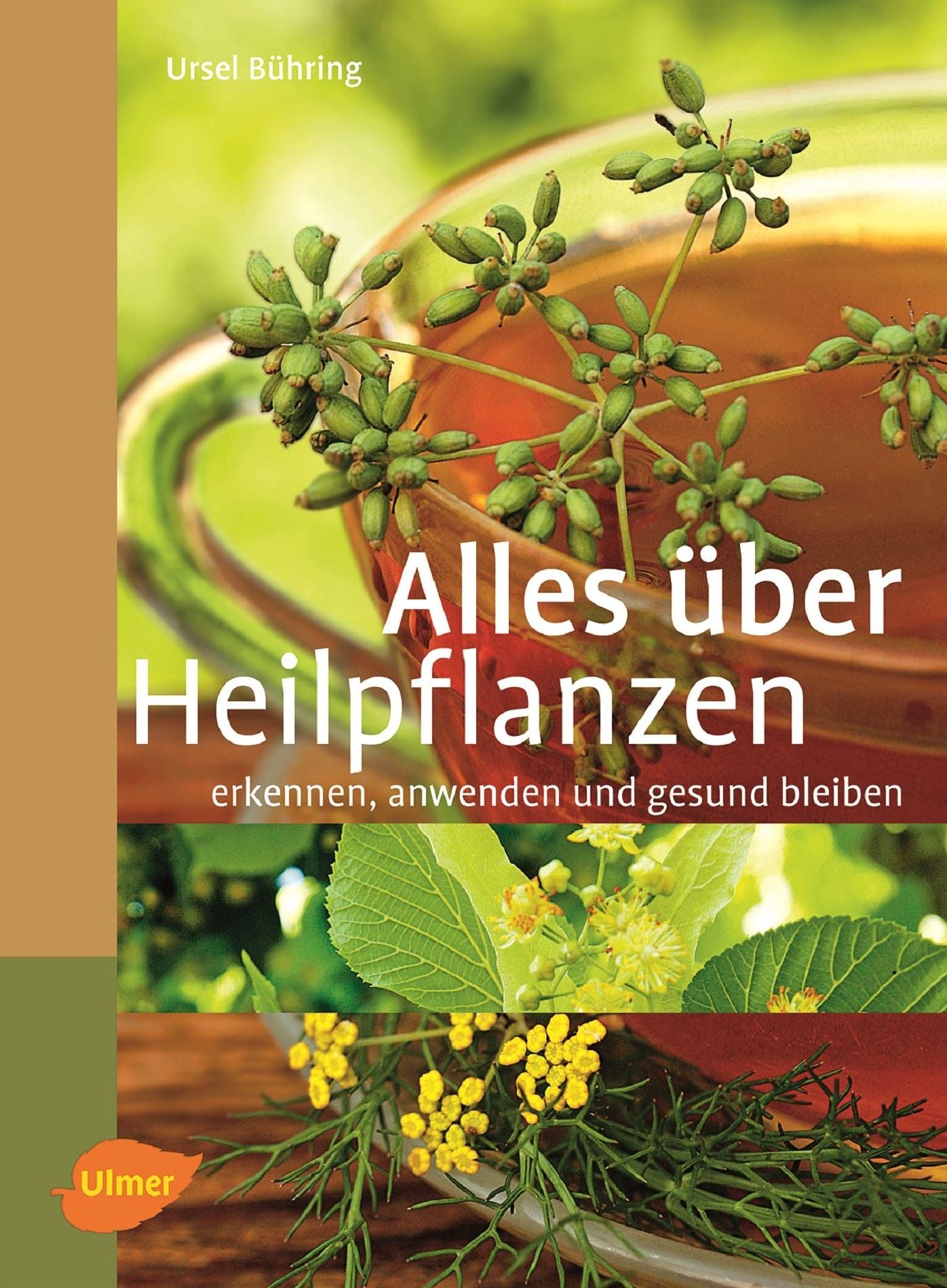 Alles über Heilpflanzen: Erkennen, anwenden und gesund bleiben