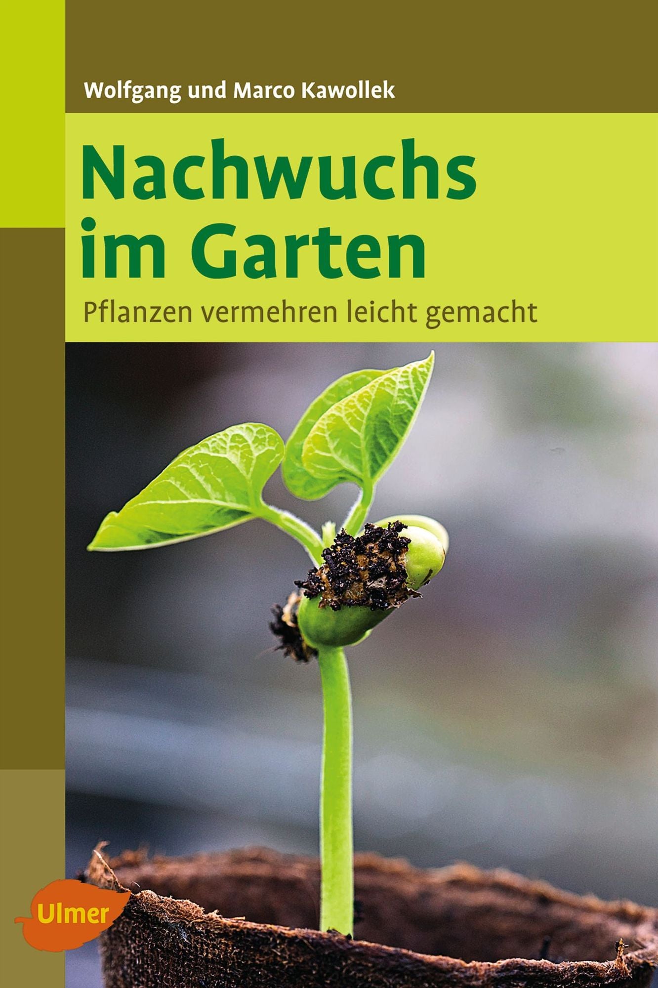 Nachwuchs im Garten: Pflanzen vermehren leicht gemacht