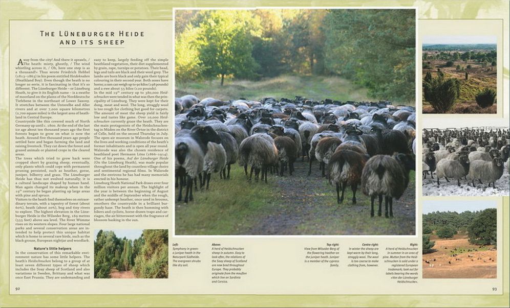 Journey Through Lower Saxony