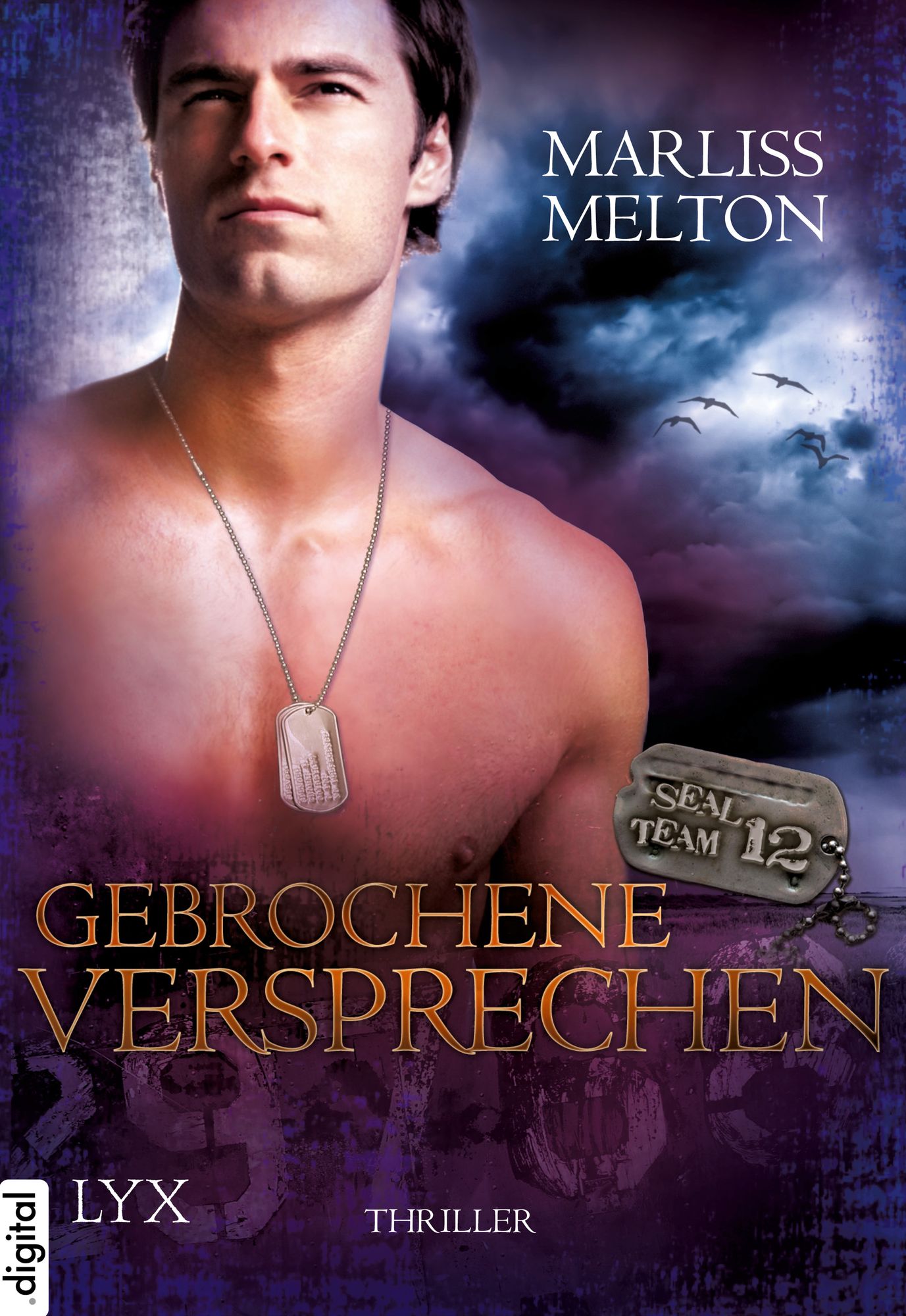 SEAL Team 12 - Gebrochene Versprechen