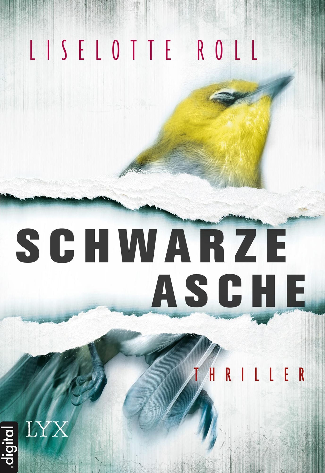 Schwarze Asche