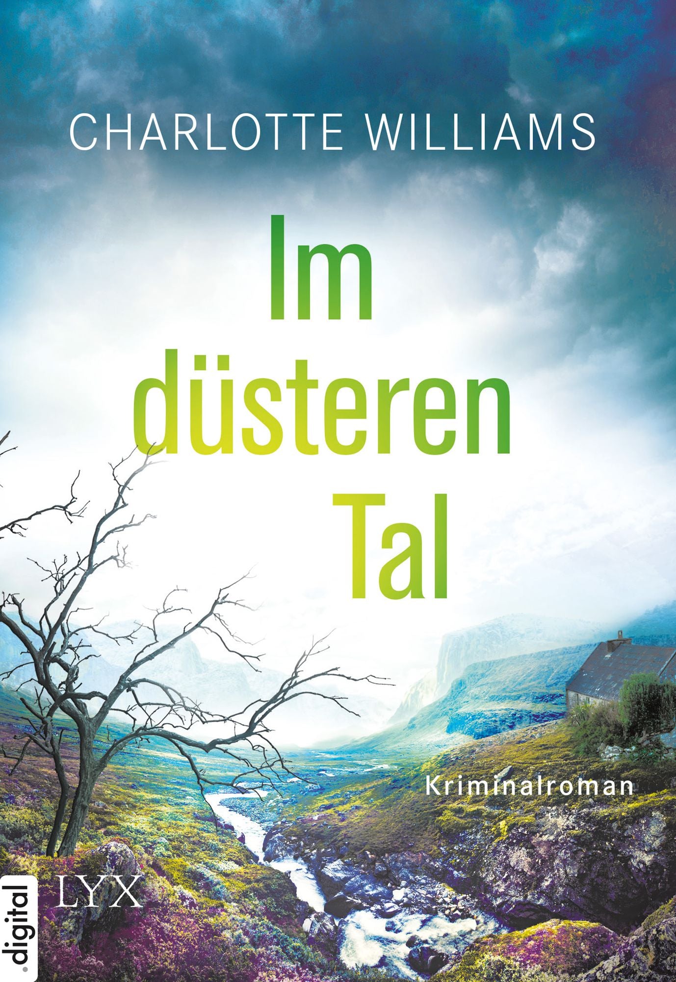 Im düsteren Tal