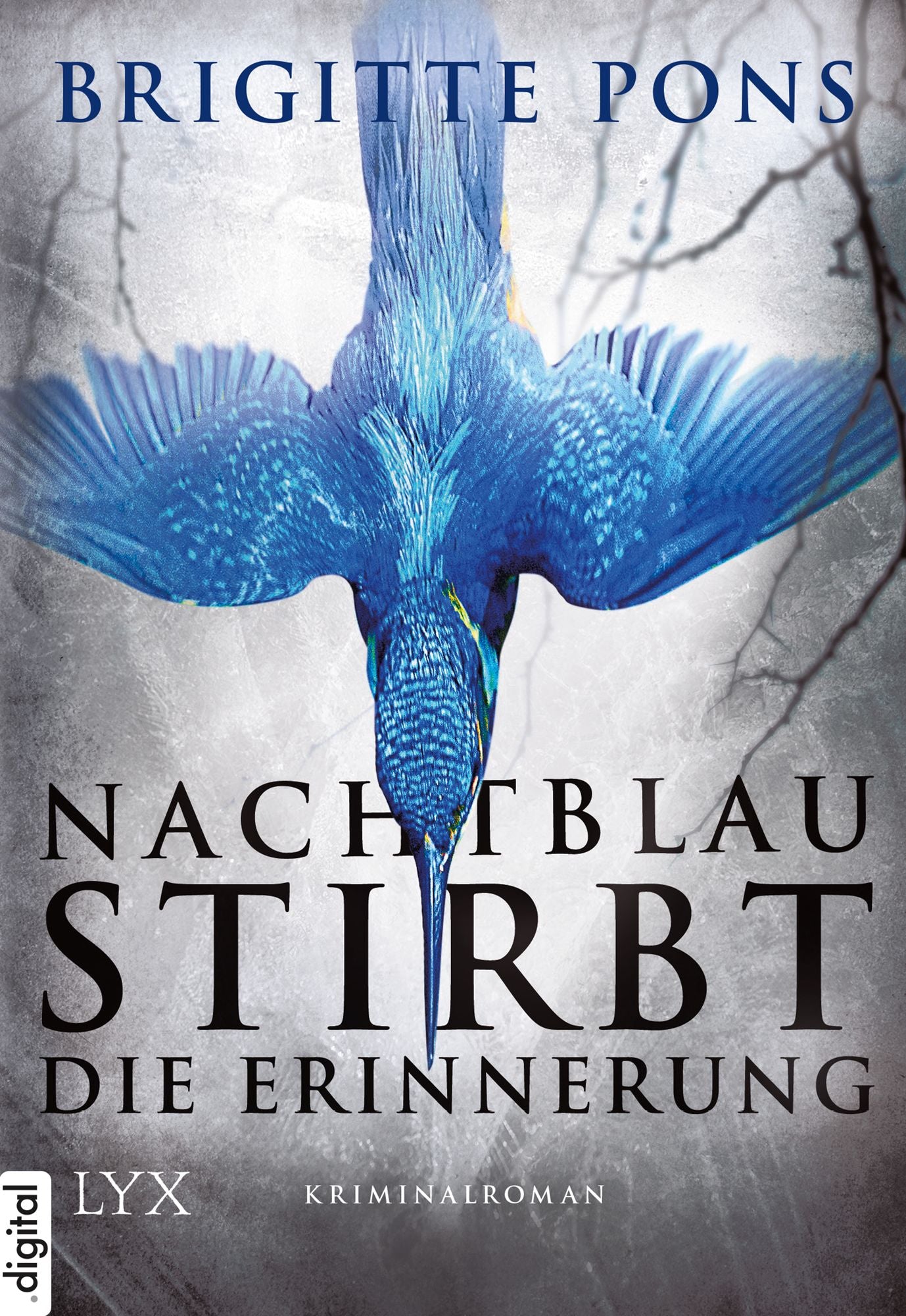 Nachtblau stirbt die Erinnerung: Frank Liebknecht ermittelt