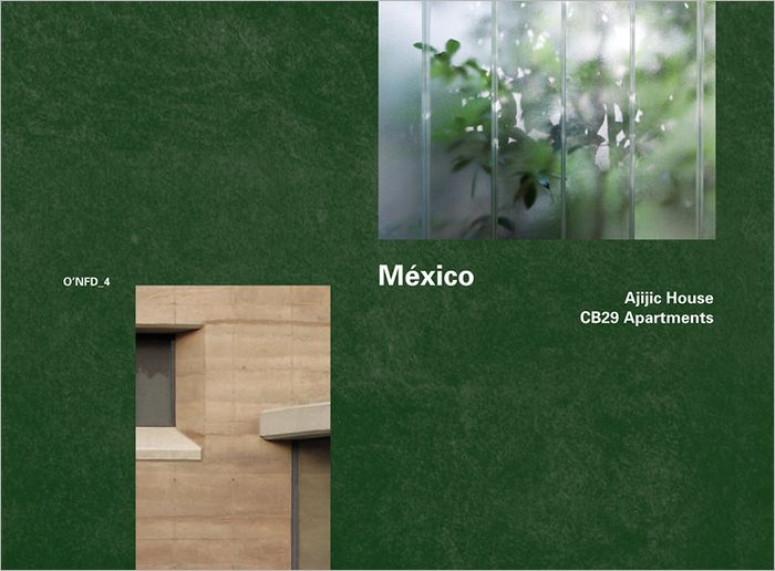 Mexico: Ajijic House, 2009-2011 by Tatiana Bilbao; CB29 Apartments 2005-2007 by Derek Dellekamp: O'NFD Vol. 4