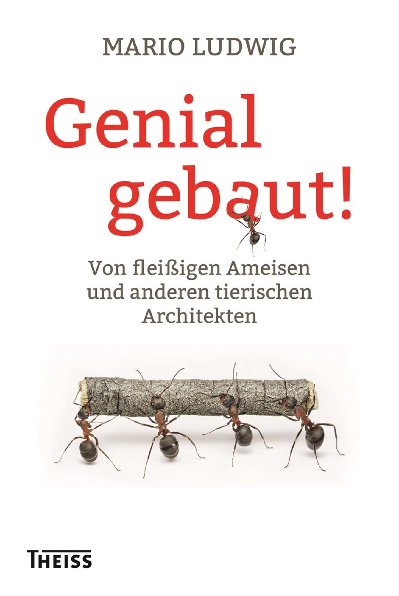 Genial gebaut!: Von fleißigen Ameisen und anderen tierischen Architekten