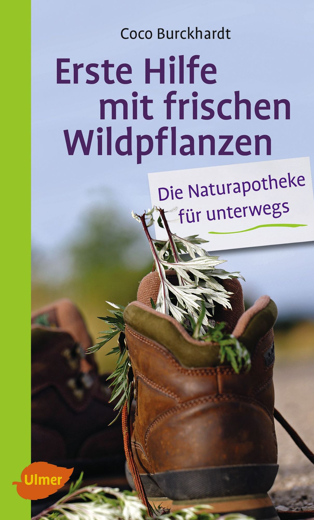 Erste Hilfe mit frischen Wildpflanzen: Die Naturapotheke für unterwegs