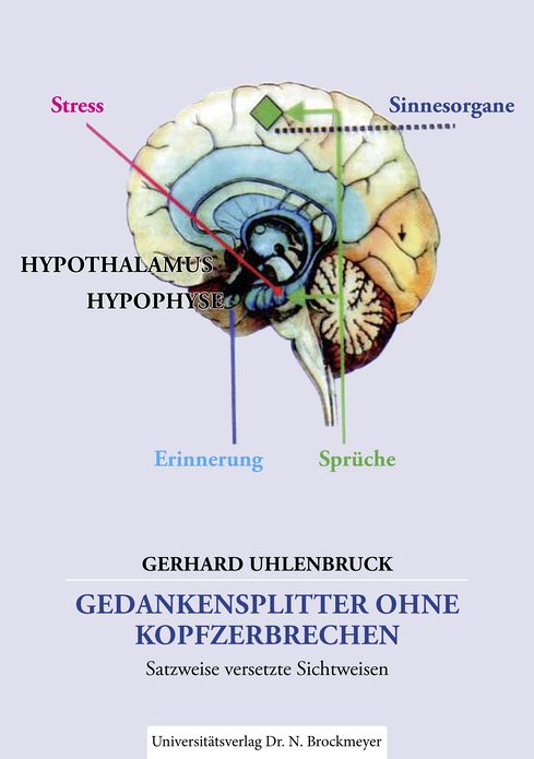 Gedankensplitter ohne Kopfzerbrechen.: Satzweise versetzte Sichtweisen