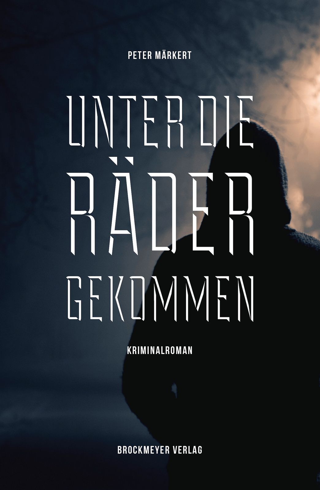 Unter die Räder gekommen: Kriminalroman