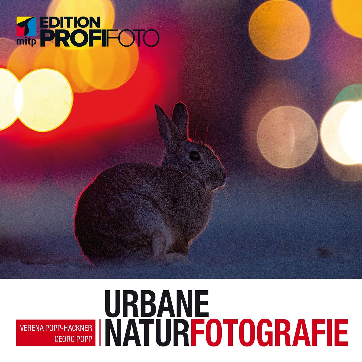 Urbane Naturfotografie: Natur mitten in der Stadt fotografieren