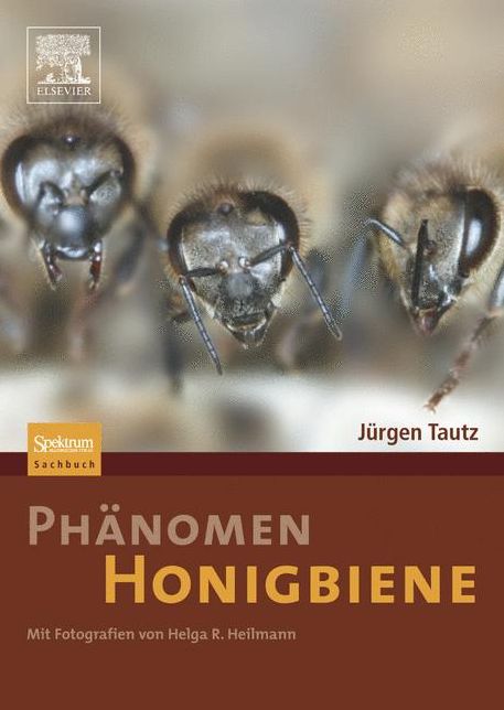 PhÃ¤nomen Honigbiene