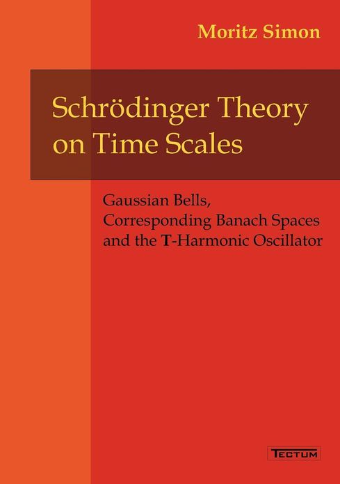 Schr dinger Theory on Time Scales
