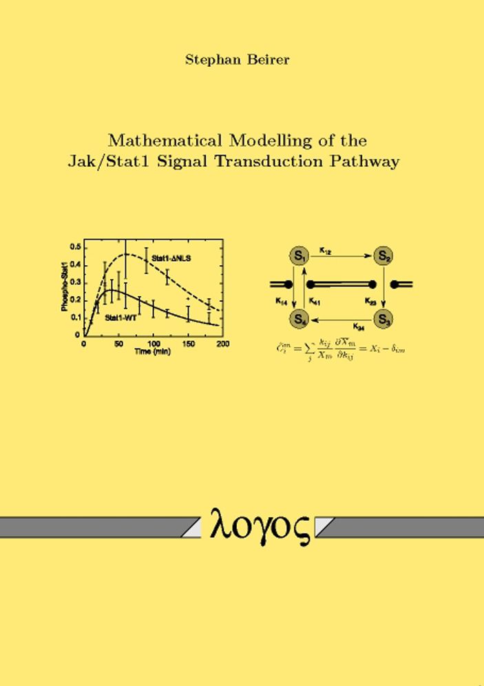 Mathematical Modelling of the Jak /Stat1 Signal Transduction Pathway