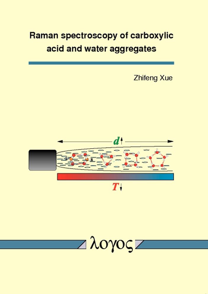 Raman spectroscopy of carboxylic acid and water aggregates