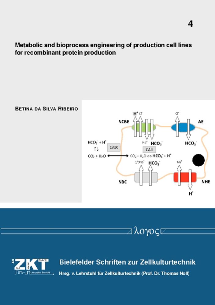 Metabolic and bioprocess engineering of production cell lines for recombinant protein production