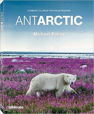 AntArctic