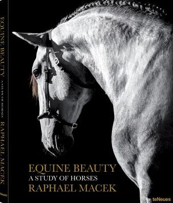 Equine Beauty