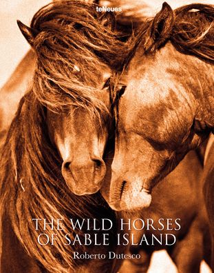 The Wild Horses of Sable Island