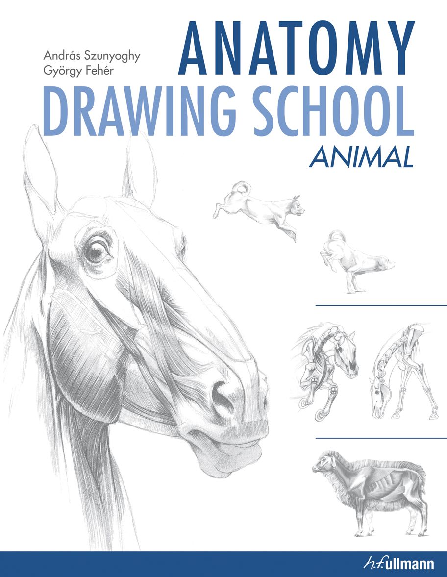 Anatomy Drawing School: Animal