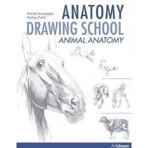 Anatomy Drawing School: Animal