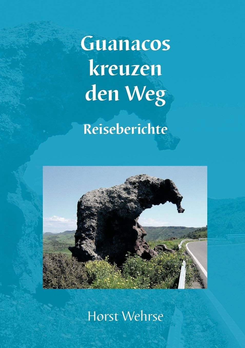Guanacos Kreuzen Den Weg