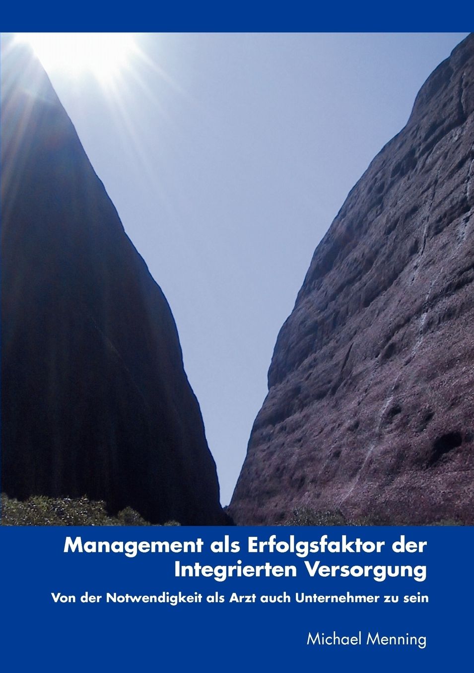 Management Als Erfolgsfaktor Der Integrierten Versorgung