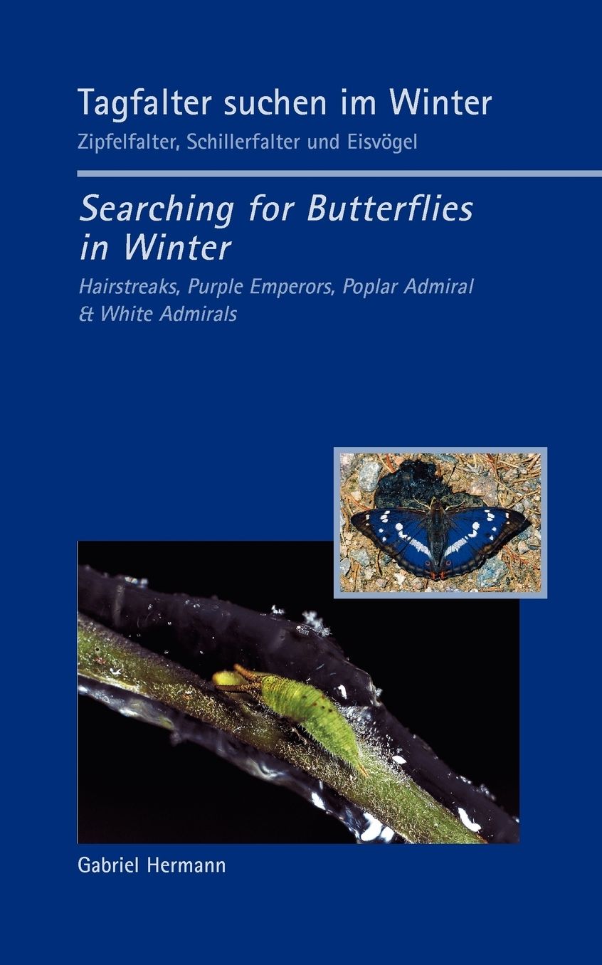 Tagfalter suchen im Winter / Searching for Butterflies in Winter